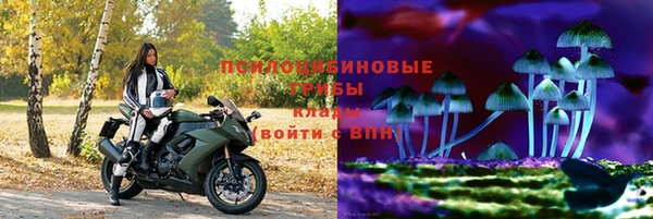 эйфоретик Костерёво