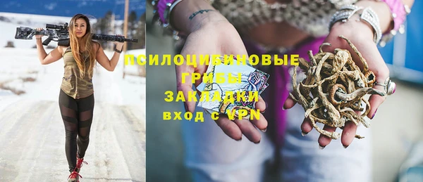эйфоретик Костерёво